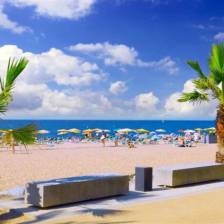 Luxury Apartment Accommodation, Next To Beach & Train Station קאללה מראה חיצוני תמונה