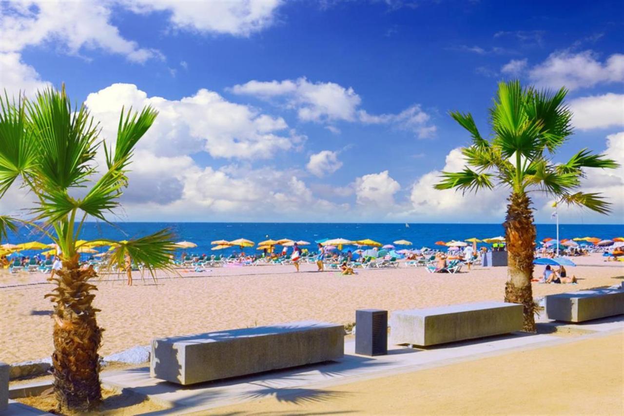 Luxury Apartment Accommodation, Next To Beach & Train Station קאללה מראה חיצוני תמונה